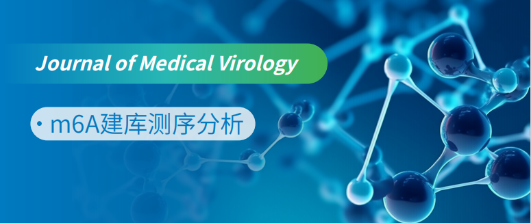 m6A修饰参与调控动物疱疹病毒致肿瘤的重要过程