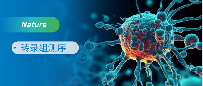 RNA-seq助力癌细胞凋亡研究登顶Nature！！！
