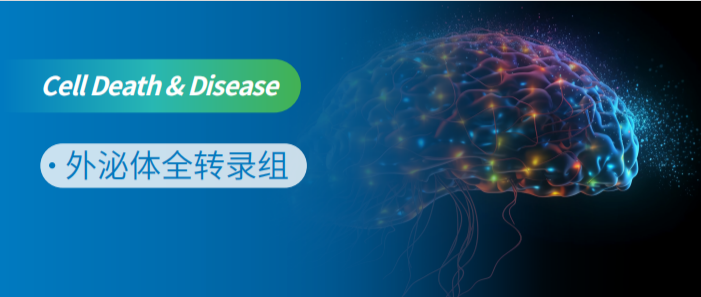 外泌体全转录组测序研究脑胶质瘤外泌体促肿瘤双重作用新机制！