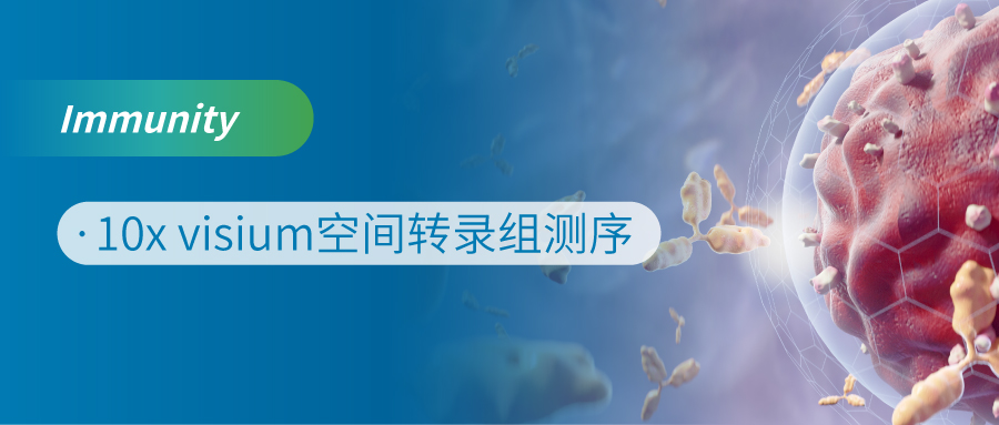 空间转录组技术解密p53突变导致肿瘤免疫微环境形成的机制