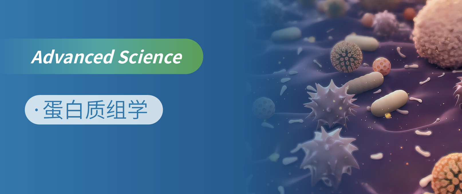 蛋白质组学破译肿瘤免疫新机制