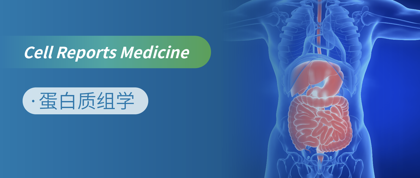 蛋白质组联合多组学分析助力难治癌症新治疗策略的研发