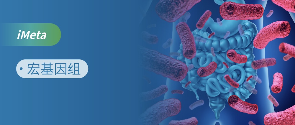 宏基因组多组学解决方案解析孕前期母体肠道菌群对胎儿发育的深远影响