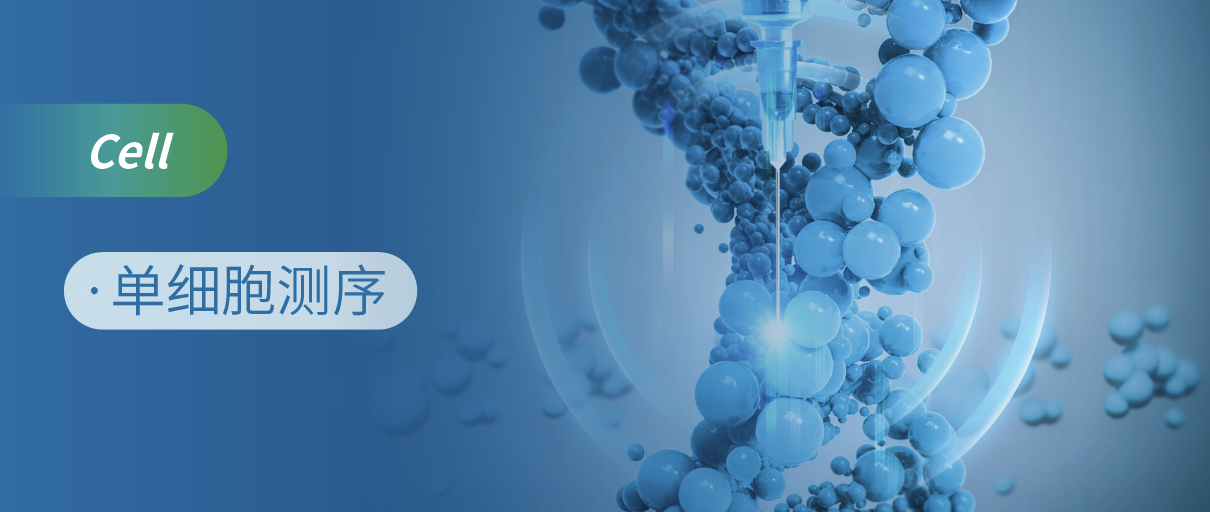 单细胞测序揭示iPSC来源CAR-NK治疗系统性硬化症机制