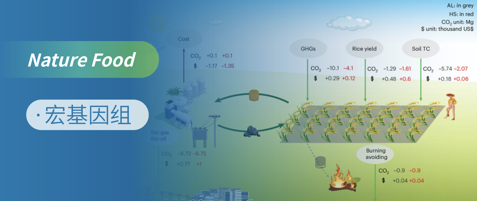 年度施用自生秸秆生物质炭：稻田减排增效的长期之策