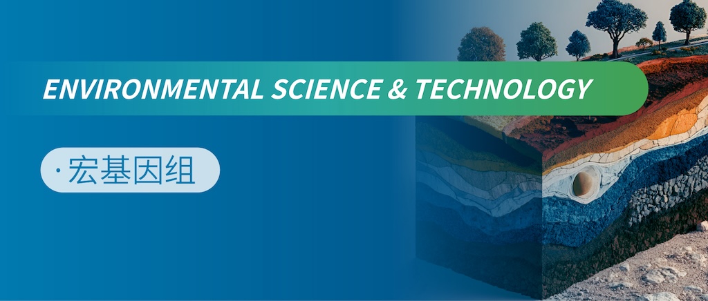 突破瓶颈：解析万年沉积物中ARGs动态