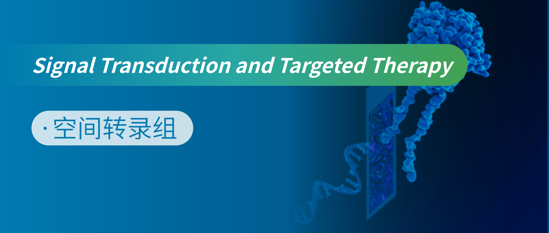 多组学联合分析揭示脊髓损伤修复关键分子机制