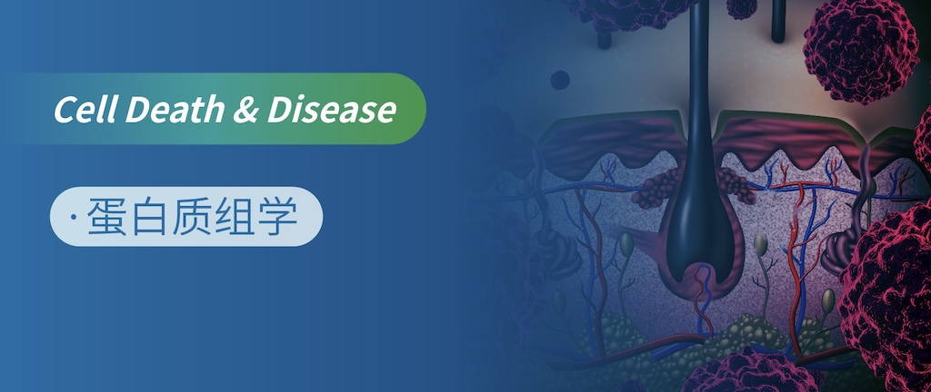 蛋白质组联合多组学揭示双硫仑克服黑色素瘤耐药新机制