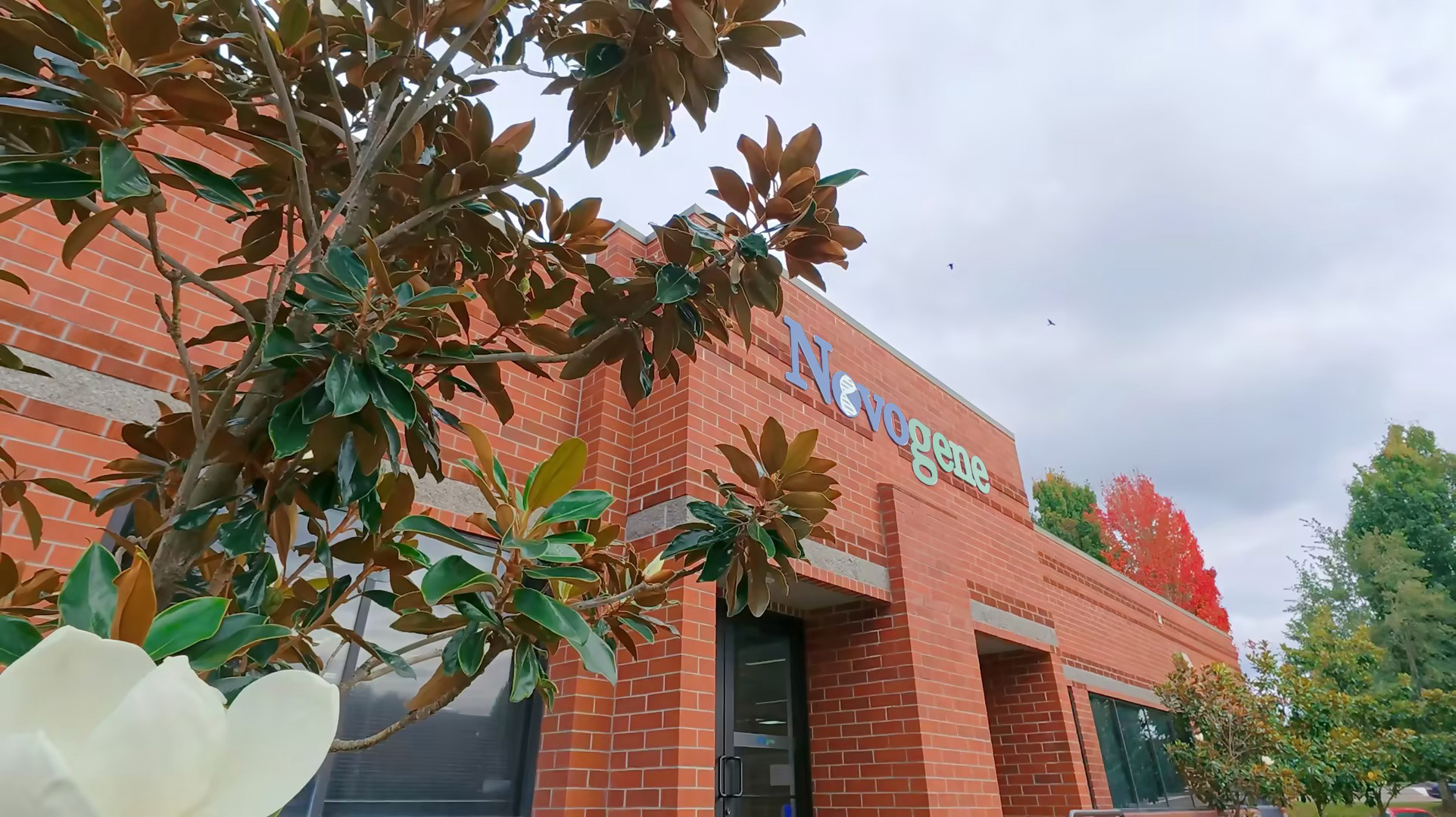 诺禾致源美国Beaverton实验室正式启用，深化全球网络布局