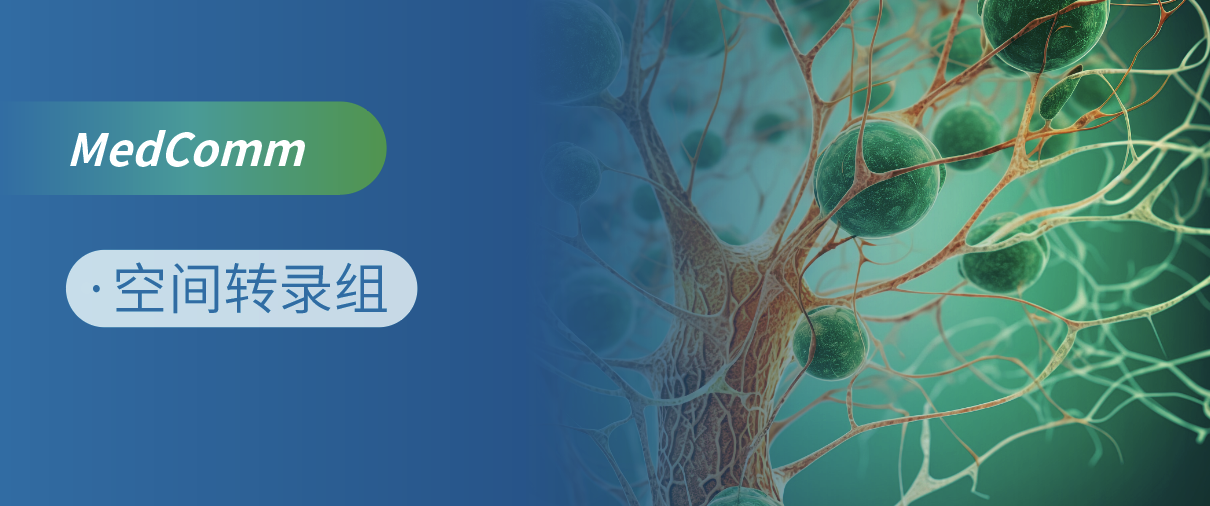 大分割放疗联合免疫化疗治疗原发难治性弥漫大B细胞淋巴瘤的 II 期临床研究：初步结果及DSP空间转录组解析