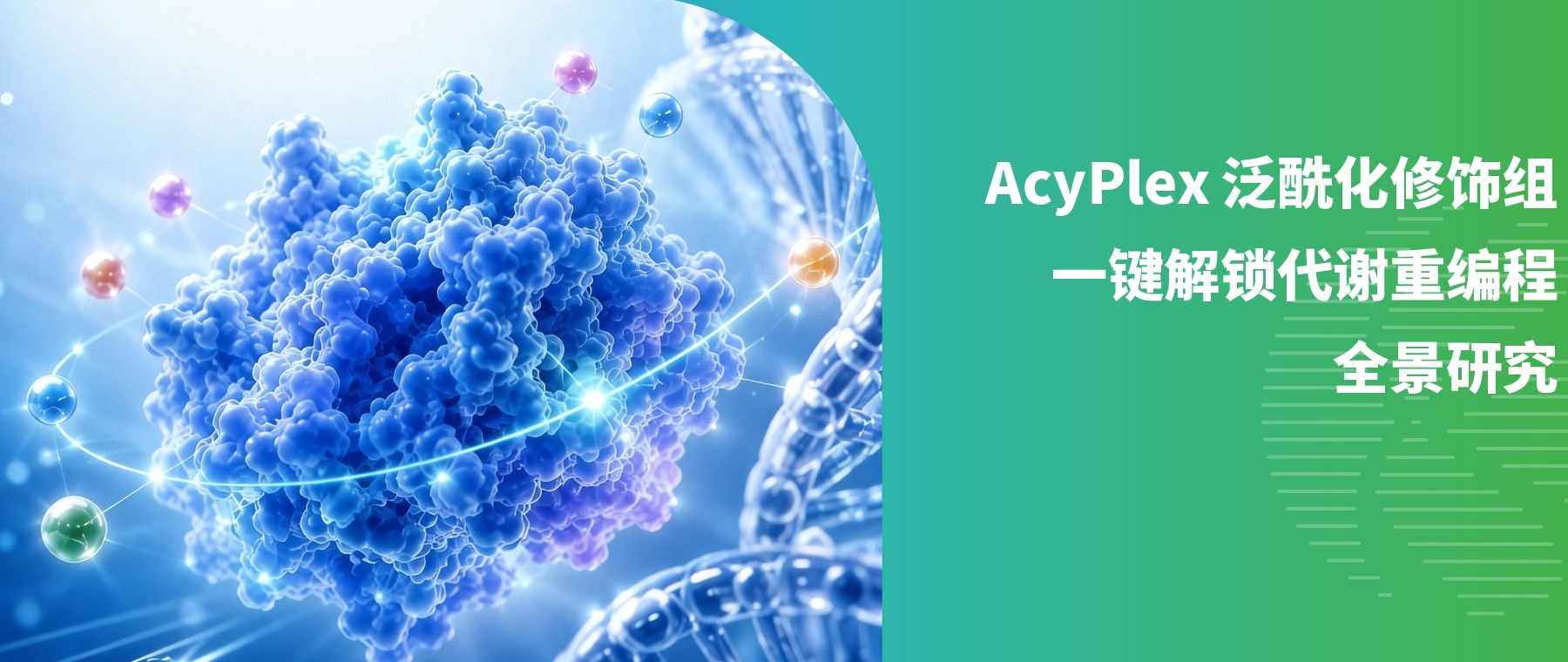 还在单做单一酰化修饰？AcyPlex 泛酰化修饰组，一键解锁代谢重编程全景研究