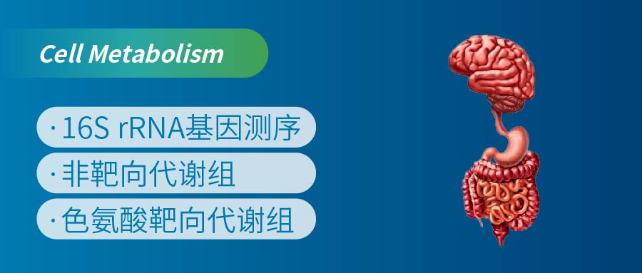 靶向色氨酸代谢组破解肠易激综合征的情绪密码