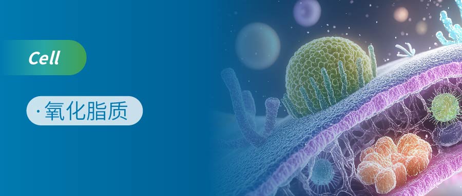诺禾致源氧化脂质产品助力浙大团队发表Cell研究：破译铁死亡“铁卫士”