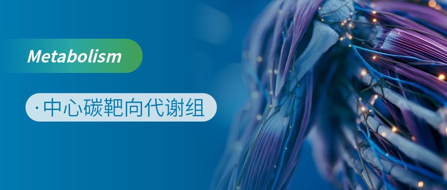 靶向中心碳代谢组解密运动耐力提升的代谢密码