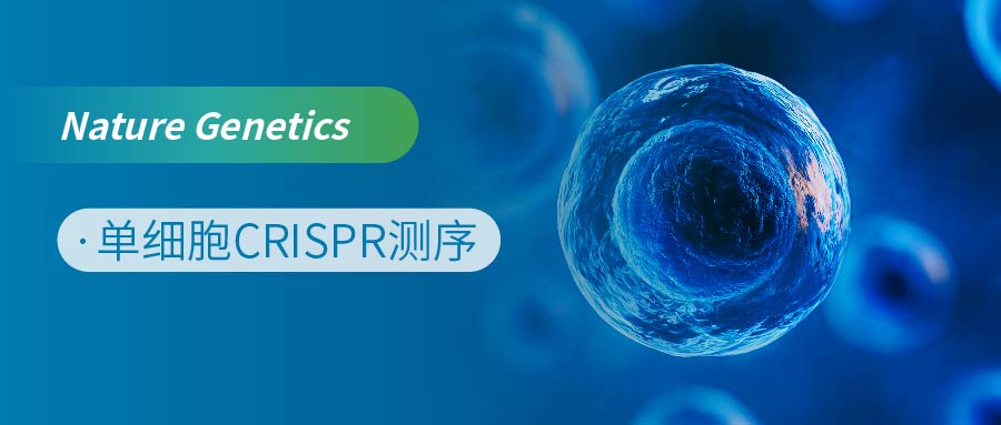 单细胞CRISPR联合GWAS揭示风险基因对重度抑郁症转录特征的影响