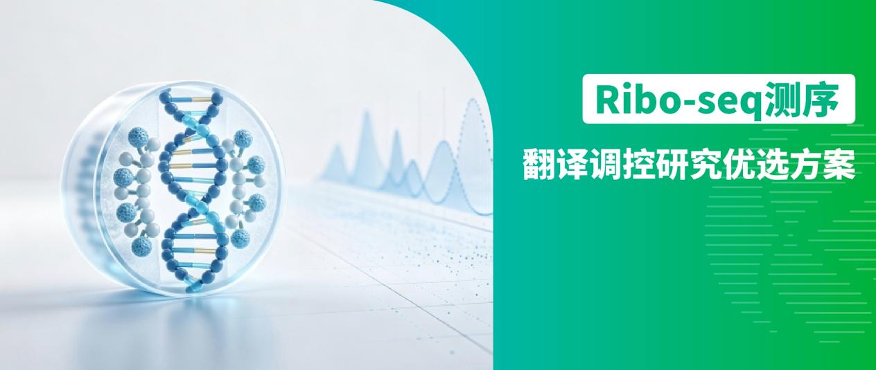 翻译调控研究优选方案：Ribo-seq测序