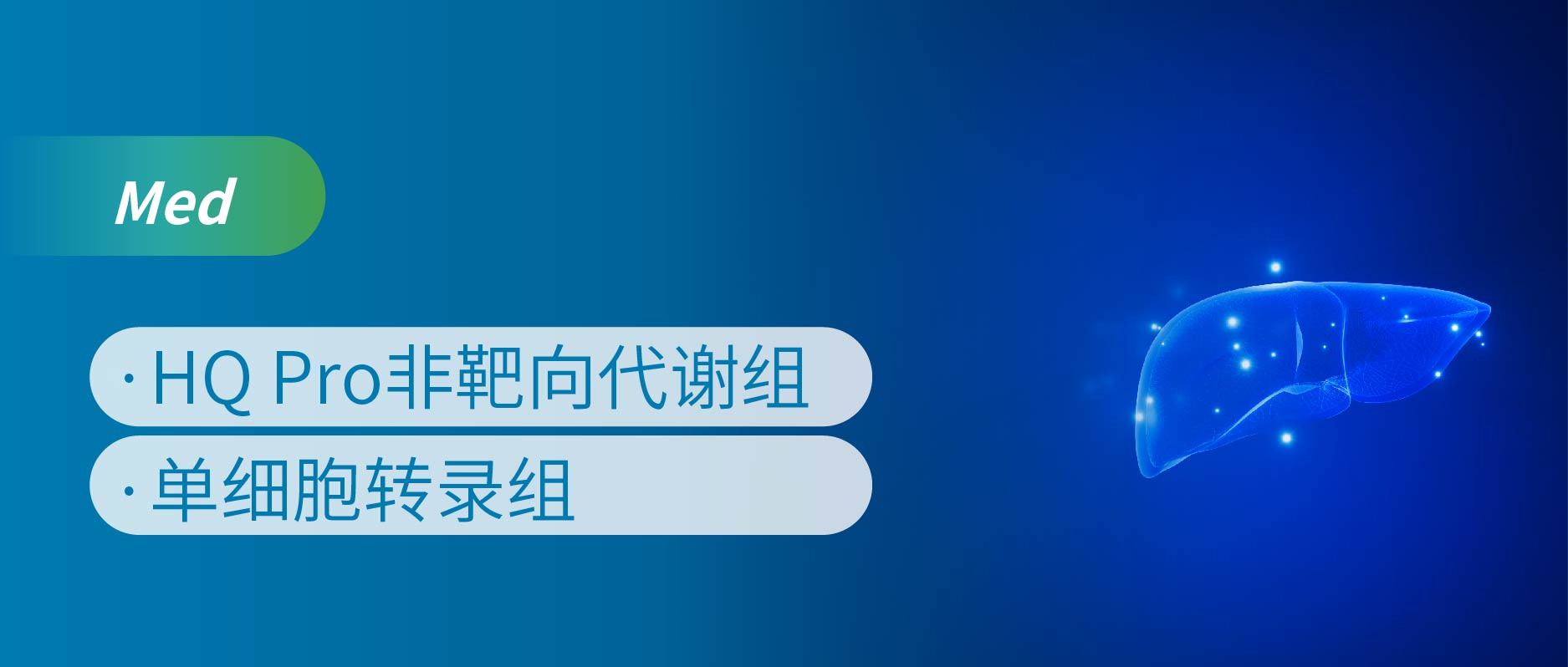 pig六基因编辑猪原位肝肾联合异种移植人体逝者模型