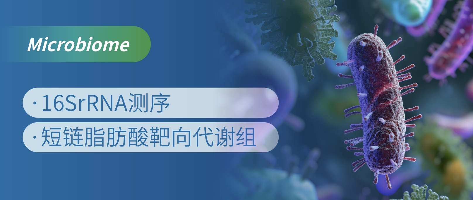 靶向短链脂肪酸代谢揭秘丙酸如何让沙门氏菌哑火