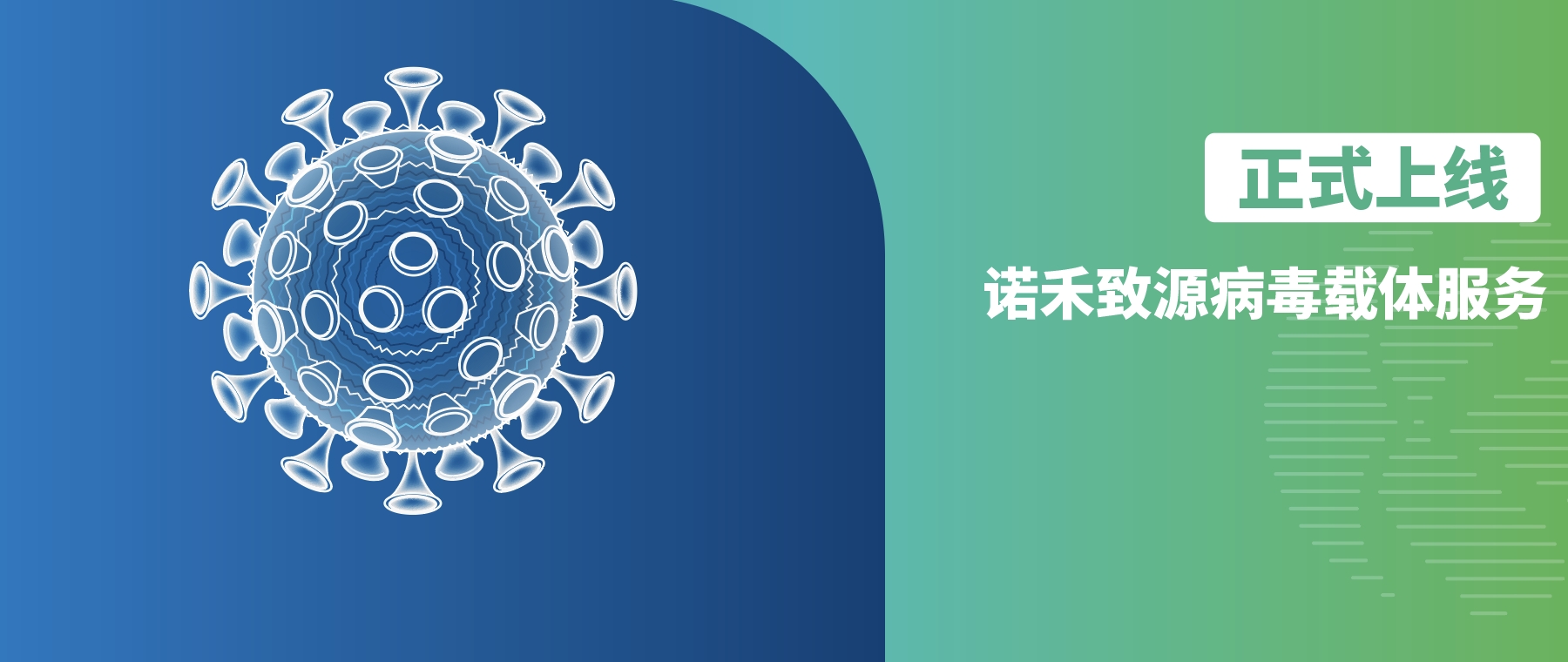 诺禾致源病毒载体服务正式上线