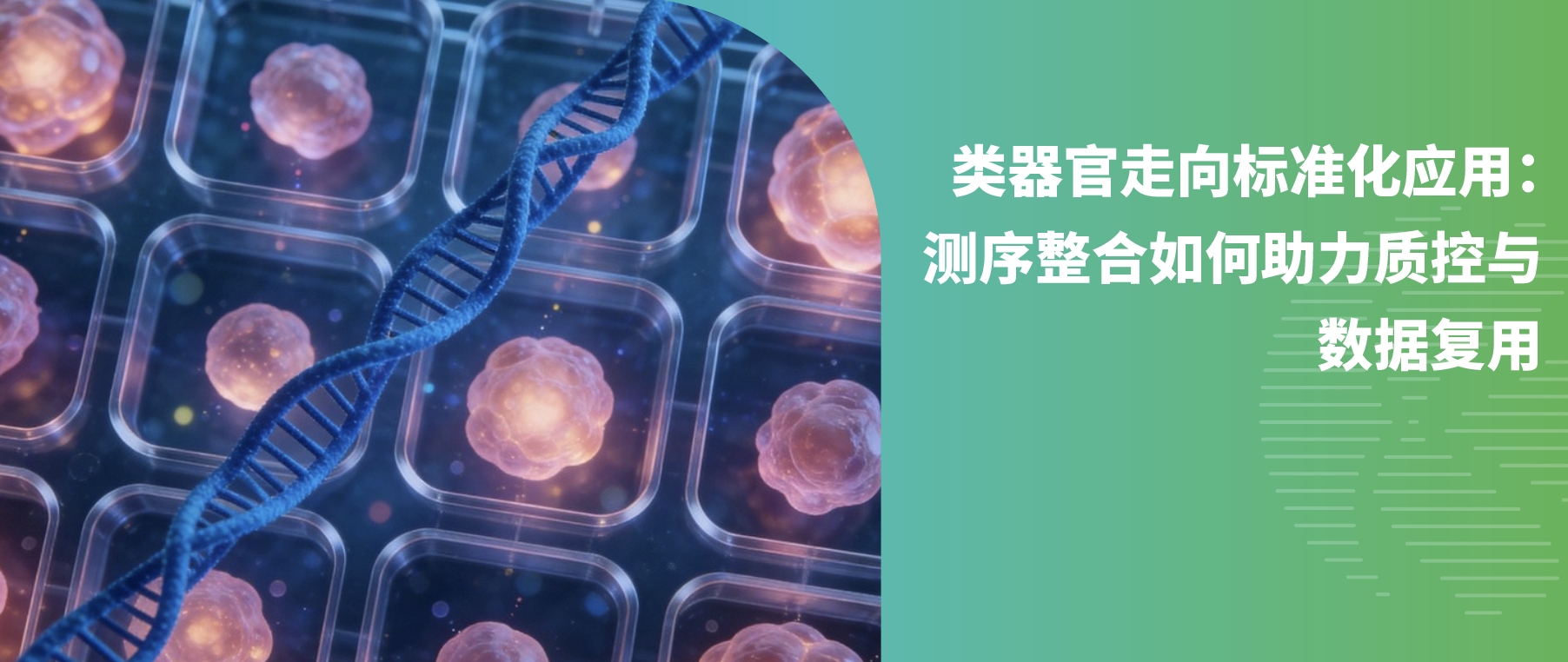类器官走向标准化应用：测序整合如何助力质控与数据复用